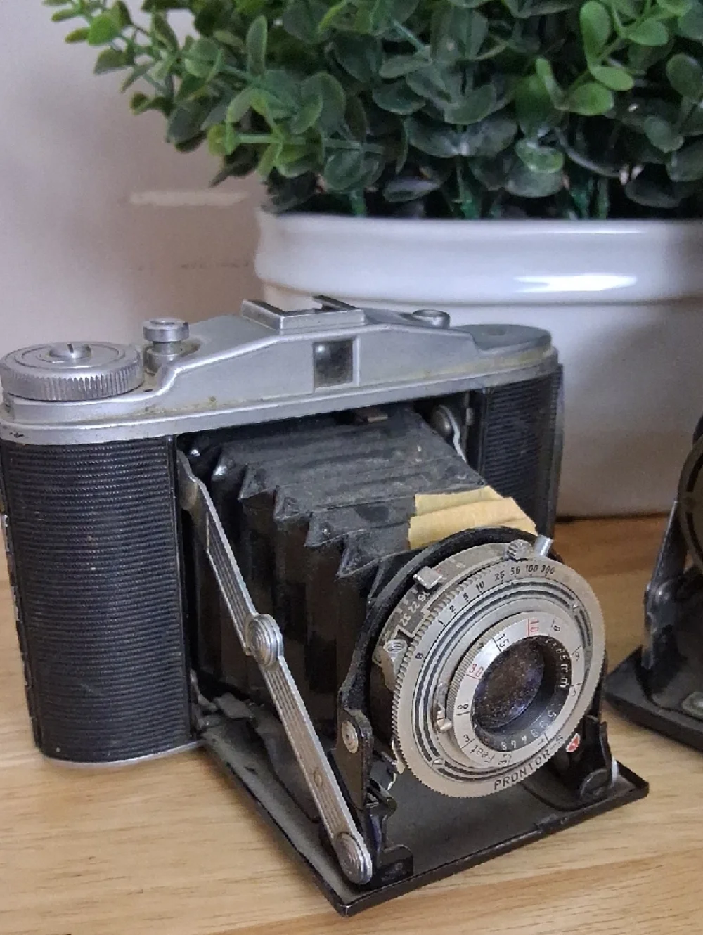 Vintage Cameras Decor